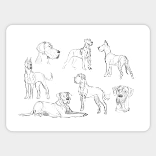 great dane studies Sticker